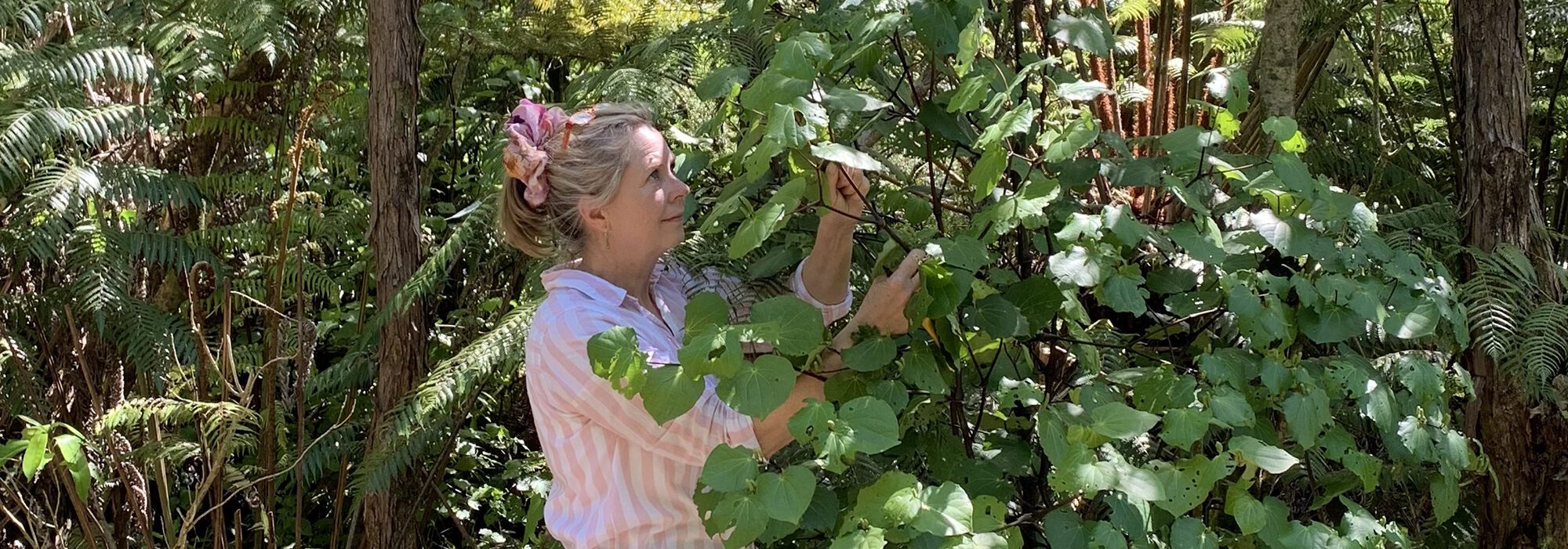 Ing-Marie Shallcrass Chickweed New Zealand
