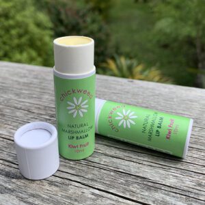 Kiwifruit Natural Lip Balm New Zealand